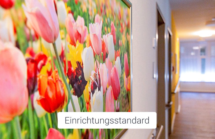 FONTIVA Einrichtungsstandard